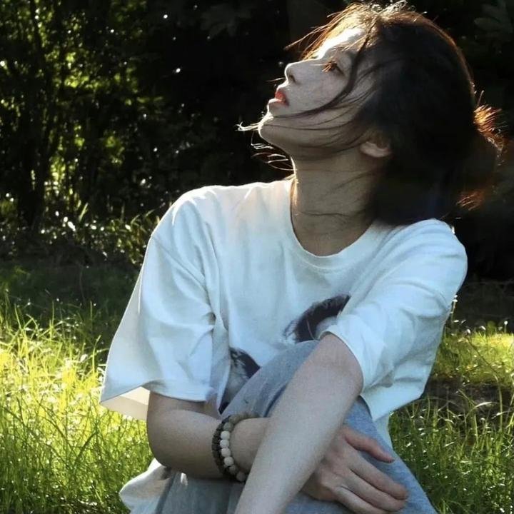 大使阁下的料理人